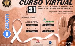 Curso virtual de violencia Seccional Bogota