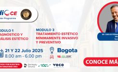 Curso FDI